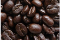 グァテマラ 焙煎豆