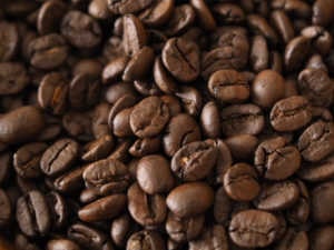 ブラジル手摘み完熟 焙煎豆