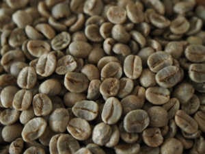 ブラジル手摘み完熟 生豆